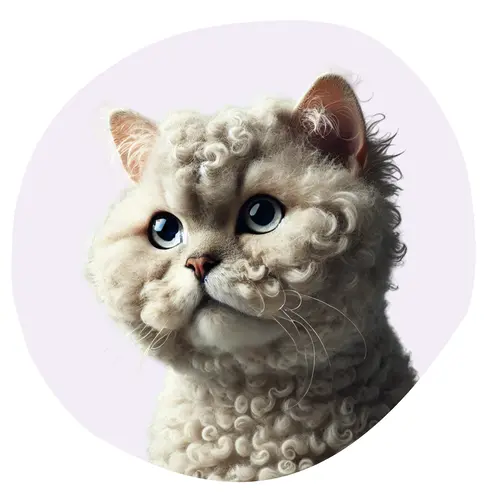 Selkirk Rex Poil Court